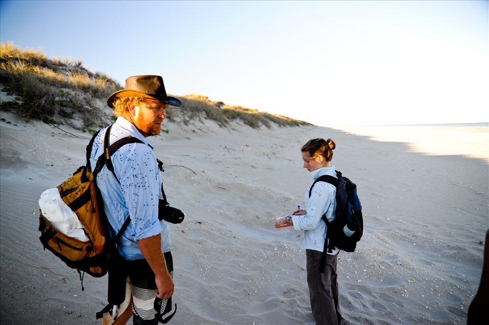Researchers and volunteers cover 6 Kilometres of beach on foot every morning recording data from the previous evenings nesting. Temperatures often exceed 35 degrees centigrade during November so early starts are essential. 