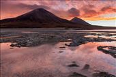 Vulcanos Juriques and Licancabur as seen from Laguna Blanca border at sunset : by tommasorenzi, Views[304]