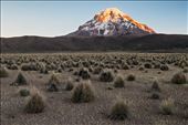 Sunset on Nevado Sajama , the highest peak in Bolivia: by tommasorenzi, Views[333]