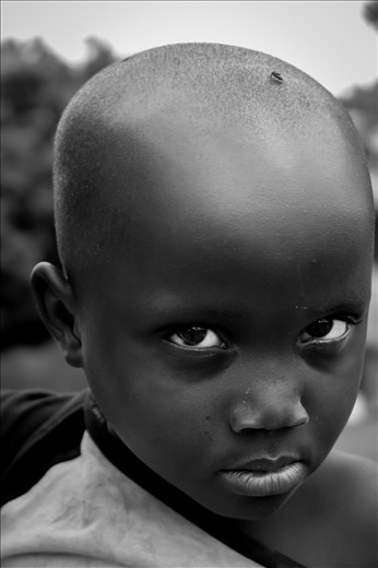 Such a powerful look can reach deep into your soul and tells a thousand stories.