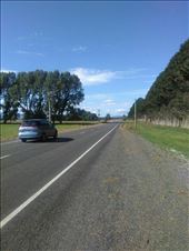 by tomnzalice, Views[175]