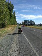 by tomnzalice, Views[174]