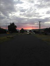 by tomnzalice, Views[173]