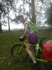 by tomnzalice, Views[171]