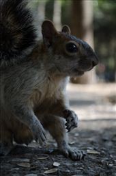 by tonatiuh, Views[302]