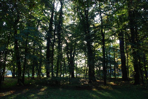 Zagreb, city ZOO in the morning