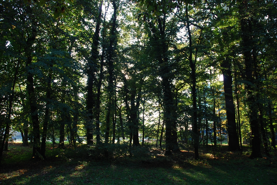 Zagreb, city ZOO in the morning
