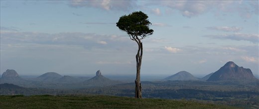Isolation in the Sunshine Coast hinterland; Maleny, Queensland, Australia. 