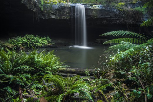 Hiidden tranquility within the heart of Otway National Park; Victoria, Australia