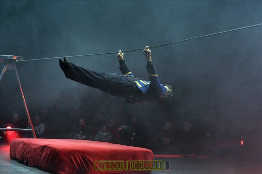 A vida é como um grande circo. E nós somos os artistas, e estamos em constante revezamento nas funções, as vezes palhaços. as vezes equilibristas.