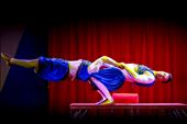 Se Yoga é contorcionismo, artistas de circo são os maiores mestres que existem: by tony-manducas, Views[322]