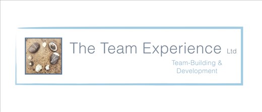 The Team Experience