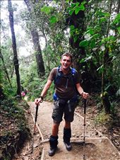 Day 1 Forest: by tony_mattravers, Views[1316]