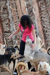 by tonyeskander, Views[232]