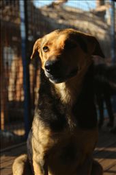 by tonyeskander, Views[252]