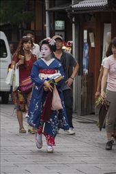 As the sun begins its descent, the streets of Gion burst to life in a frenzy of activity as geisha emerge from their living quarters — like rabbits from their dens — to attend the first of the evening’s appointments. Visitors travel from far and wide to Gion hoping to catch a glimpse of these rare and romanticized figureheads of Japanese culture. This apprentice geisha, or maiko as they are locally known, glances about anxiously, anticipating the overly eager entourage of strangers that will soon swarm her.: by tonykuehn, Views[259]