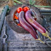 Roasting eggplants over the traditional Myanmar stove: by toozler, Views[388]