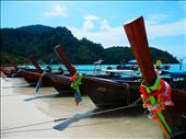 Koh Phi Phi Don, Thailand, long tail boats : by topina27, Views[290]