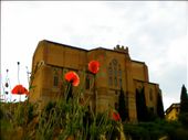 San Domenico church in Siena-ITA, the last stop.: by toscanabybike, Views[324]