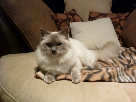 Phoenix my boy, so cute