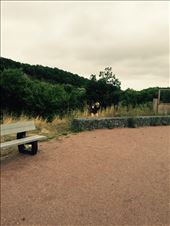 by tourdefriends, Views[148]