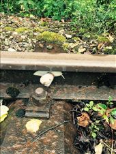 by tourdefriends, Views[136]