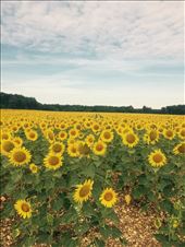 by tourdefriends, Views[100]