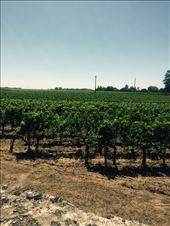 by tourdefriends, Views[120]