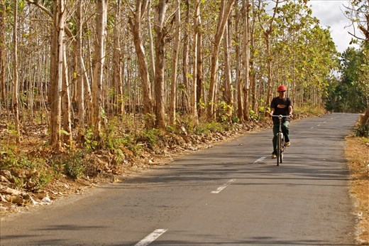Gunungkidul, the southest part of Yogyakarta Special Region, in the heart of Java island, Indonesia, is the most affected area during dry season. August is one of the driest months when teak leaves are withered and agricultural lands are dried. Every year water has been always a crucial issue in this district.