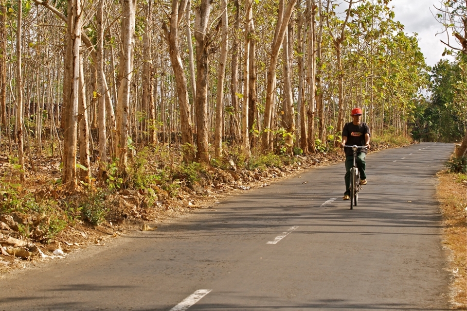 Gunungkidul, the southest part of Yogyakarta Special Region, in the heart of Java island, Indonesia, is the most affected area during dry season. August is one of the driest months when teak leaves are withered and agricultural lands are dried. Every year water has been always a crucial issue in this district.