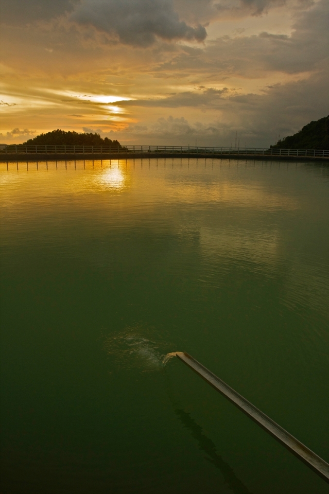 The local government of Gunungkidul has developed an enormous reservoir called Embung Nglanggeran. In Javanese, “embung” means pond. This artificial lake is built in the peak of primeval volcano Nglanggeran, around 500 metres above sea level. It is used for watering purposes and, recently, as tourism attraction as well.