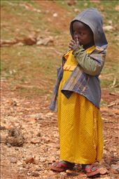 Yellow - Tabaka: by travel-diary, Views[303]