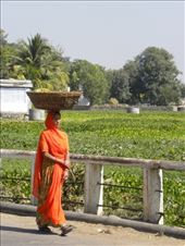 by travel-for-thought, Views[87]