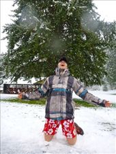 by travel-tips, Views[7560]