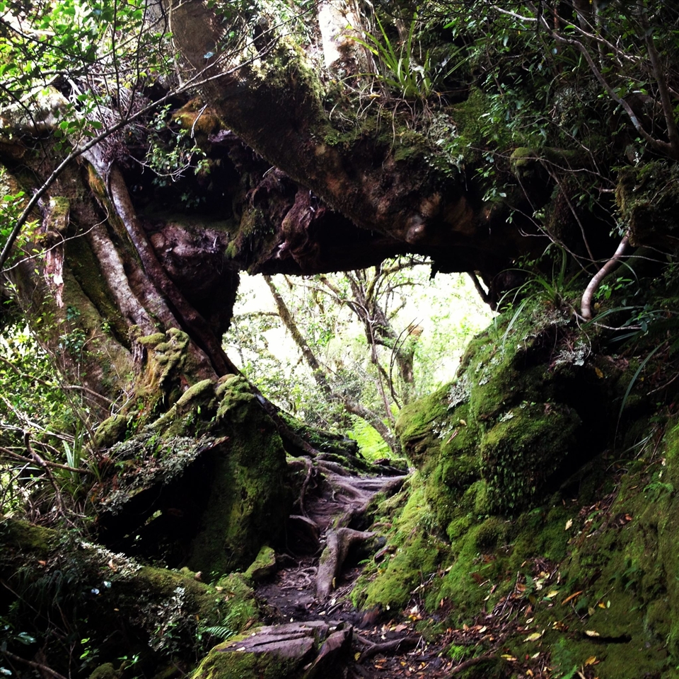 Hidden Places in New Zealand