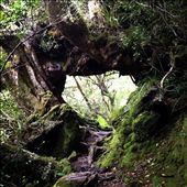 Hidden Places in New Zealand: by traveladdicts, Views[296]