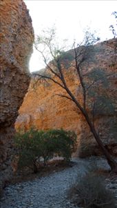 by travelbug77, Views[201]