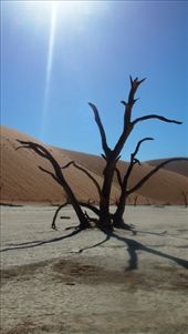 by travelbug77, Views[113]