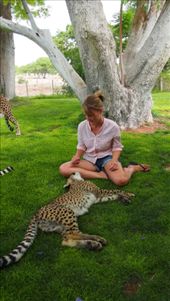 by travelbug77, Views[111]