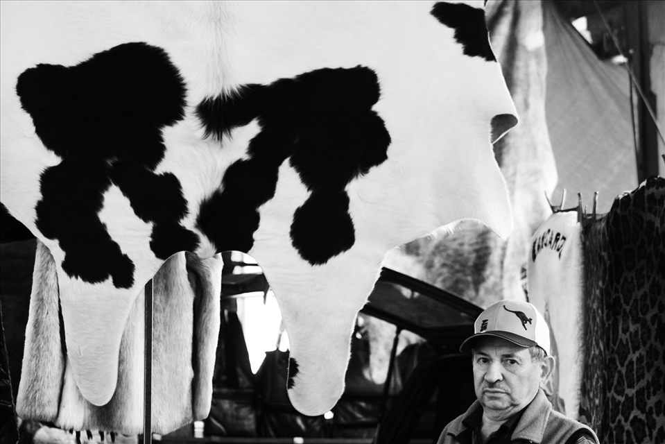 Skins seller (Melbourne, Victoria)