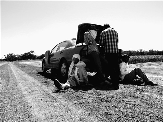 Indian workers in a sorghum farm (NSW)