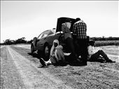 Indian workers in a sorghum farm (NSW): by traveldiaries, Views[213]