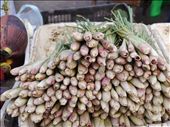 Lovely lemongrass, Luang Prabang market: by traveleater, Views[404]