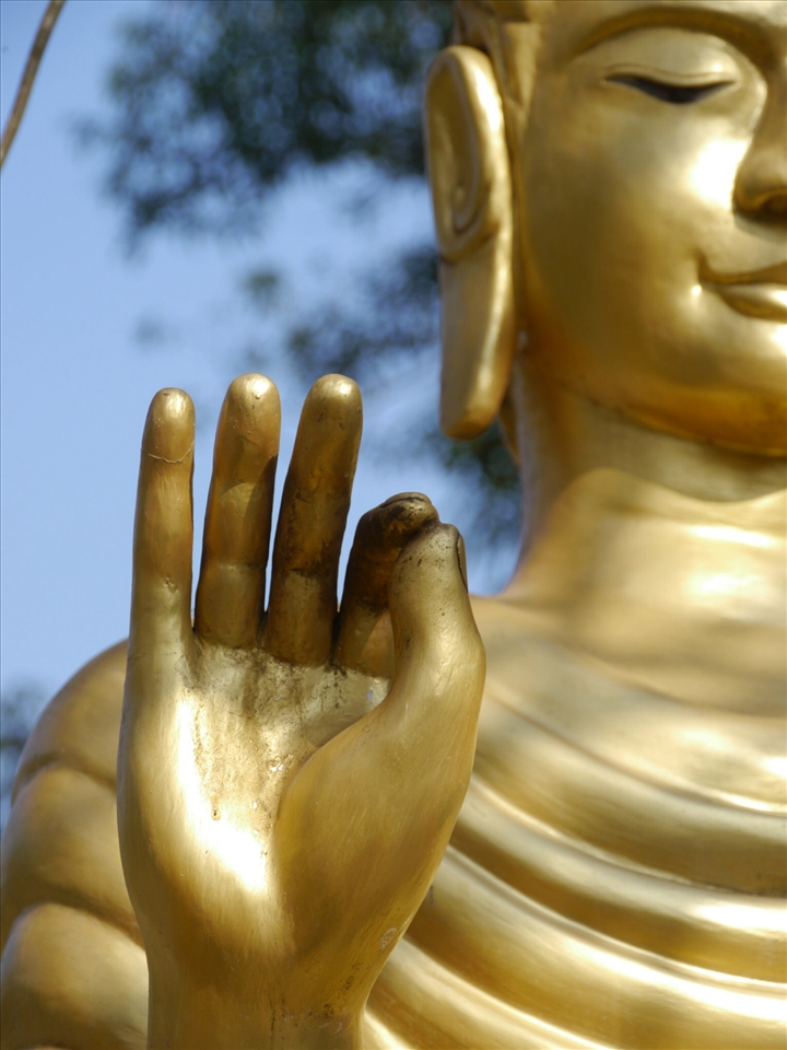 Everyone thinks The LP Sandwich is A-OK