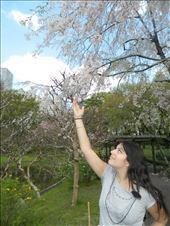 by travelerdiaryinusa, Views[291]