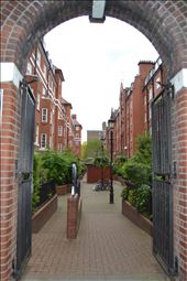 by travelerdiaryinusa, Views[195]