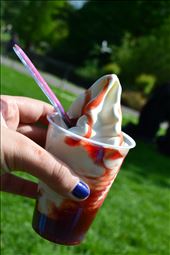 by travelerdiaryinusa, Views[135]