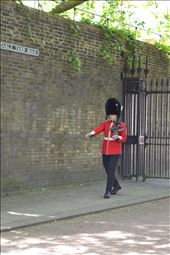 by travelerdiaryinusa, Views[133]