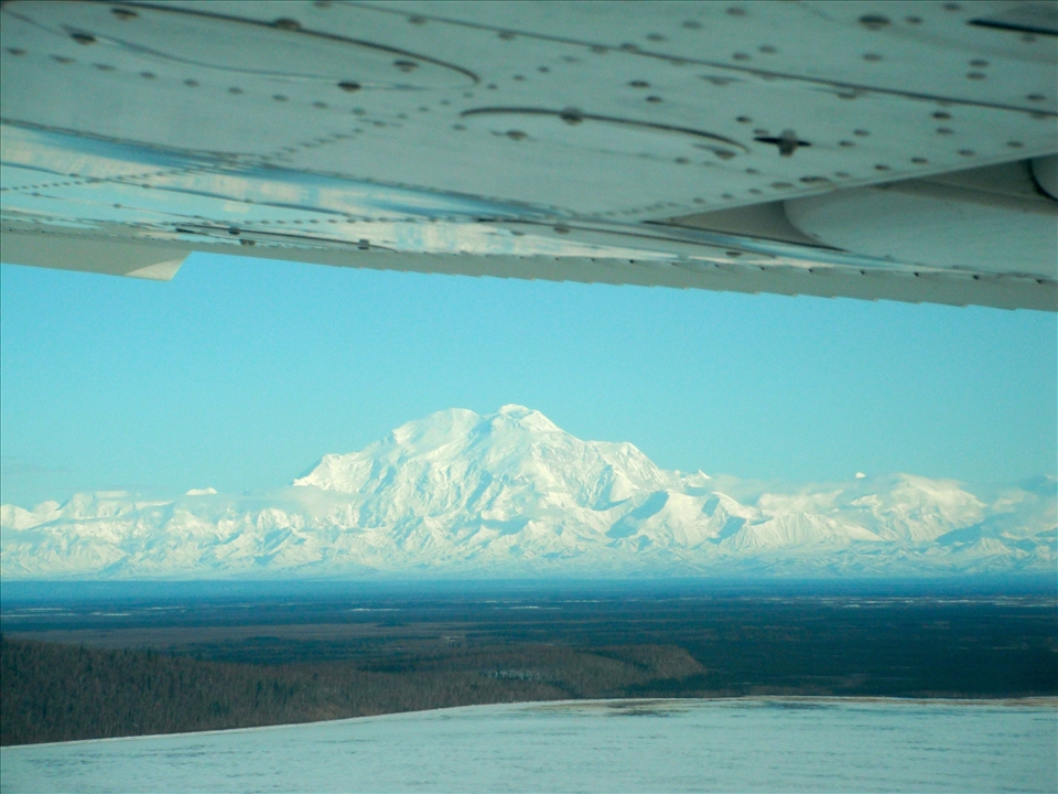 Denali