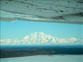 Denali: by travelerjosh, Views[234]